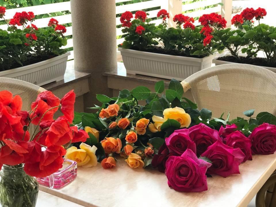 Villa Brussels Deva Dış mekan fotoğraf